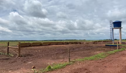 Fazenda com dupla aptidão no Maranhão no melhor polo produtor de grãos