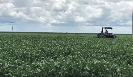 Excelente fazenda no Piauí próximo a Bom Jesus
