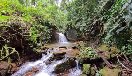 Terreno à venda em Centro - MT