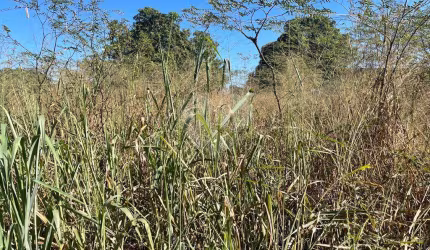 Terreno à venda em Praeirinho - MT