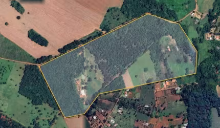 Fazenda com 6 salas à venda na Rua, Joanápolis, Anápolis, 290000 m2 por R$ 12.000.000
