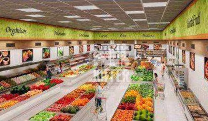 Terreno, 491 m² - venda por R$ 2.000.000,00 ou aluguel por R$ 20.145,00/mês - Icaraí - Niterói/RJ