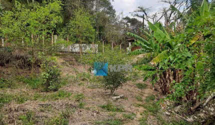 Terreno à venda, 5000 m² por R$ 1.000.000,00 - Jardim Torrão de Ouro - São José dos Campos/SP