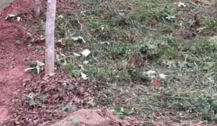 Terreno em Condomínio para Venda em Teresópolis, Albuquerque