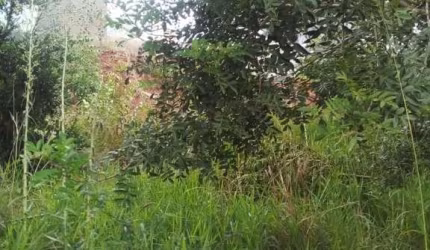 Terreno à venda na Rua José Carlos Corrêa Costa, 15, Oriço, Gravataí, 330 m2 por R$ 286.200