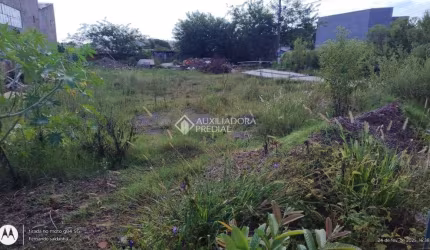 Terreno comercial à venda na Rua Otávio Schemes, 1102, Barnabé, Gravataí, 600 m2 por R$ 692.000
