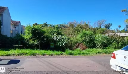 Terreno comercial à venda na Rua Aparício Soares da Cunha, 468, Vila Bom Princípio, Cachoeirinha, 900 m2 por R$ 485.000