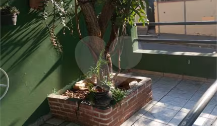 Casa com 3 quartos à venda em Jardim Philadélphia - MG
