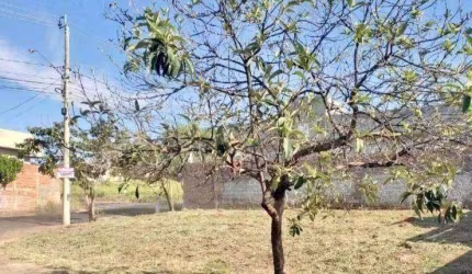 Terreno à venda na Rua Valdir Fernando De Marchi, Parque Residencial J. Macedo, São José do Rio Preto, 260 m2 por R$ 155.000