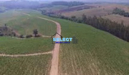 Fazenda a venda em Ribeirão Preto