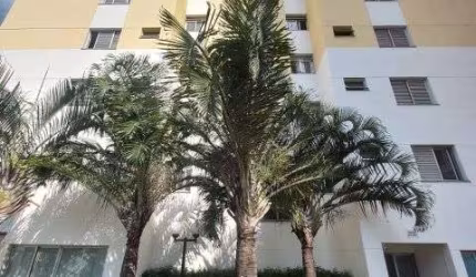 APARTAMENTO - VENDA - GUARULHOS/VILA MILTON