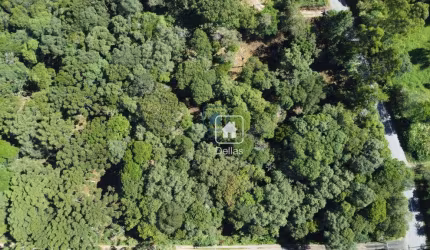 Terreno à venda, 20455 m² por R$ 1.360.000 - Alphaville Graciosa - Pinhais/PR