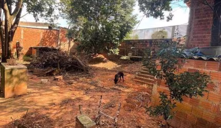 Chácara com 4 dormitórios para alugar, 1000 m² por R$ 3.850,00/mês - Pica-pau-amarelo (Zona Rural) - São José do Rio Preto/SP