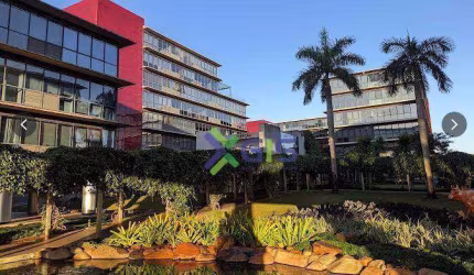 Sala para alugar, 48 m² por R$ 6.000,00/mês - Jardim Vivendas - São José do Rio Preto/SP
