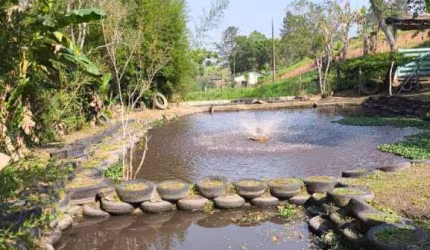 Chácara para venda,  Parque Lagoa Rica, São Paulo - CH6677