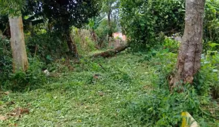 Casa para venda, 1 quarto(s),  Jardim Papai Noel, São Paulo - CA6664