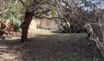 Terreno à venda na Rua Guilherme de Almeida, 354, Jardim Conceição (Sousas), Campinas por R$ 650.000