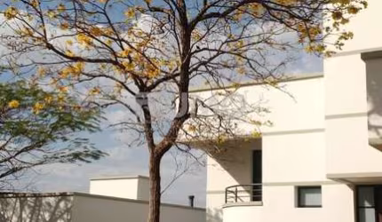 Casa com 4 quartos para alugar na Olympio Pattaro, .587, Loteamento Residencial Barão do Café, Campinas, 450 m2 por R$ 15.000