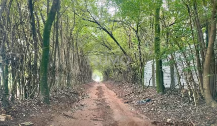 Terreno à venda na Estrada Municipal, 192, Fazenda Monte D'Este, Campinas por R$ 3.900.000