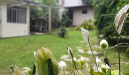 Casa para Venda em São José dos Pinhais, São Cristóvão, 4 dormitórios, 2 banheiros, 3 vagas