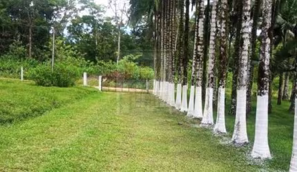 Chácara para Venda em Antonina, Batel A, 2 dormitórios, 1 banheiro