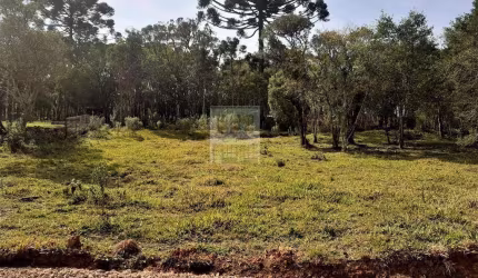 Terreno para Venda em São José dos Pinhais, Roseira de São Sebastião