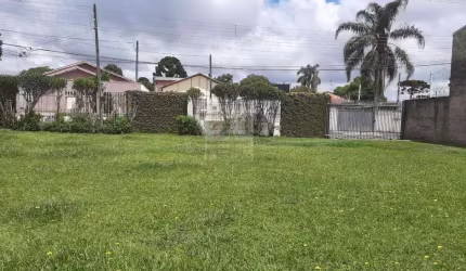 Terreno para Venda em São José dos Pinhais, Borda do Campo, 2 dormitórios, 1 banheiro