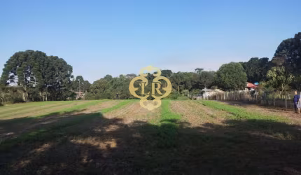 Chácara de terra fértil a venda na Área Rural de São José dos Pinhais