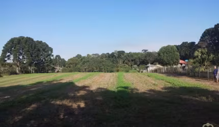 Chácara de terra fértil a venda na Área Rural de São José dos Pinhais