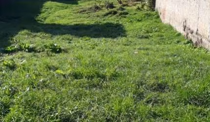 Terreno Residencial à venda, Borda Do Campo, São José dos Pinhais - TE0040.