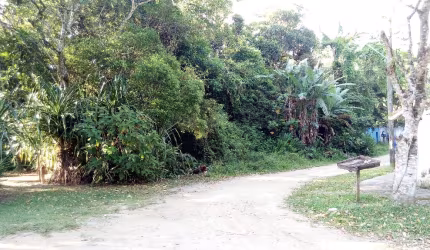 Terreno com 2000 metros em local maravilhoso  com muito verde