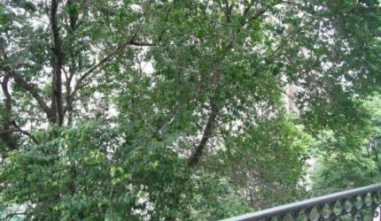 Apartamento com 1 quartos à venda em Vila Morumbi - SP