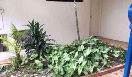 Sobrado com 3 quartos à venda em Vila Monumento - SP