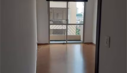 Apartamento com 3 quartos à venda em Vila Monte Alegre - SP