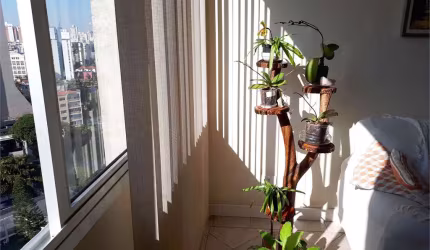 Apartamento com 3 quartos à venda em Vila Mariana - SP