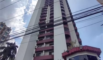 Apartamento com 3 quartos à venda em Jardim Anália Franco - SP