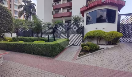 Apartamento com 3 quartos à venda em Jardim Anália Franco - SP