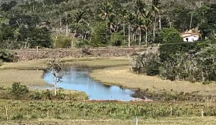 Fazenda à venda no bairro Centro - Araçás/BA