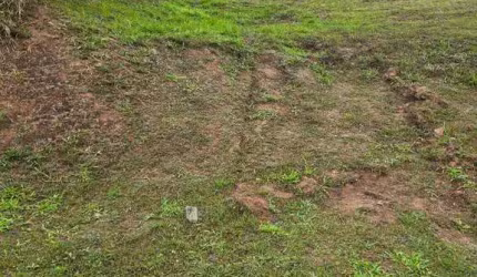 Terreno à venda, 750 m² por R$ 1.750.000 - Paiol Velho - Santana de Parnaíba/SP