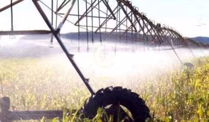 Complexo Agro Industrial - Fazenda agropecuária