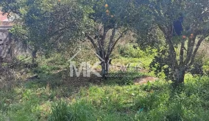 Lote/Terreno
