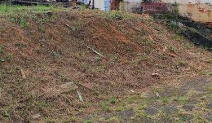 Terreno Terreno Urbano Joinville - SC - Floresta