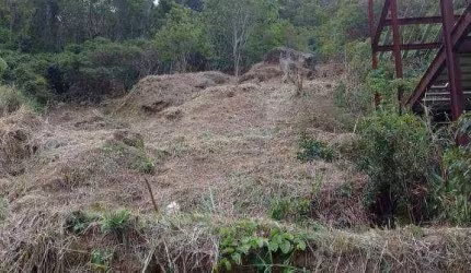 Terreno à venda, 530 m² por R$ 135.000,00 - Taquara - Rio de Janeiro/RJ