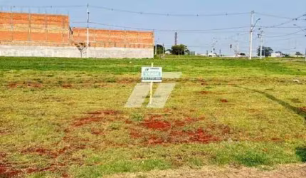 Terreno no Brasmadeira