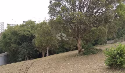 Terreno amplo com mais de 6 mil m²
