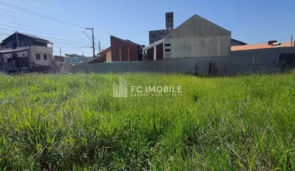 Terreno com 1.035 m² à venda no Santa Regina em Camboriú/SC
