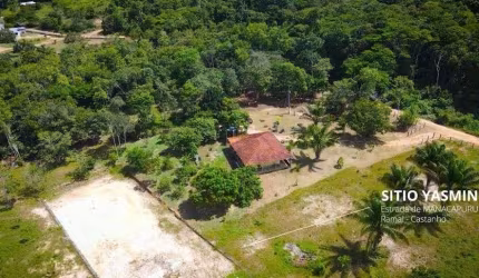 Sítio no Ramal do Castanho AM 070 km23 - Disponível pra venda