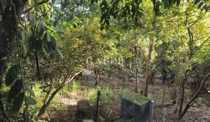 Terreno à venda em Atibaia-SP, Chácaras Fernão Dias, 3.737,00 m² de área!