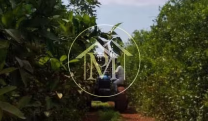 Área Rural à venda, ,  - AR0081.