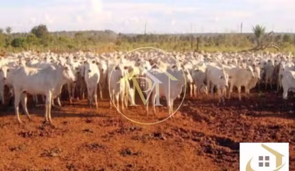 Área Rural à venda, ,  - AR0058.